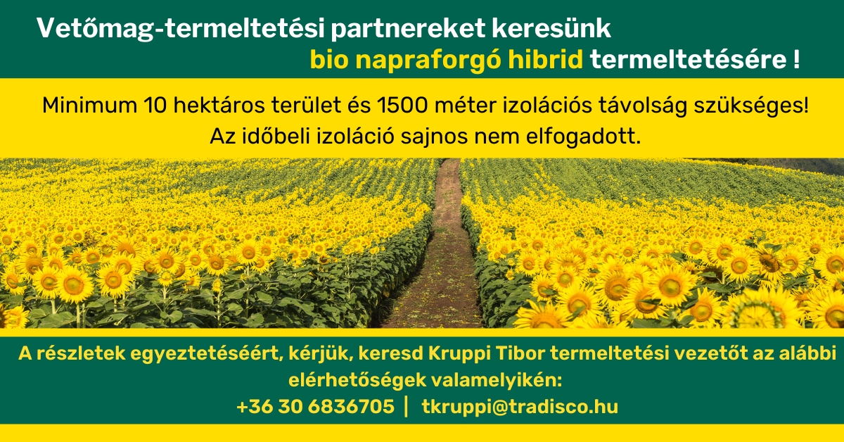 BIO hibrid napraforgó előállításra keresünk termelőt