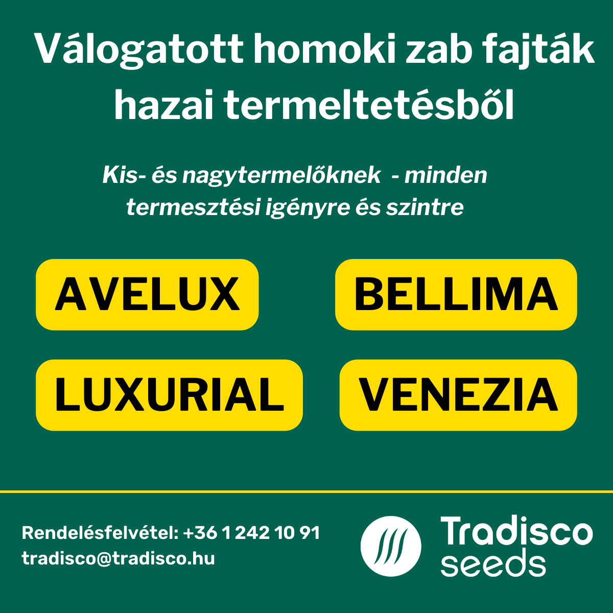 homokizab fajták