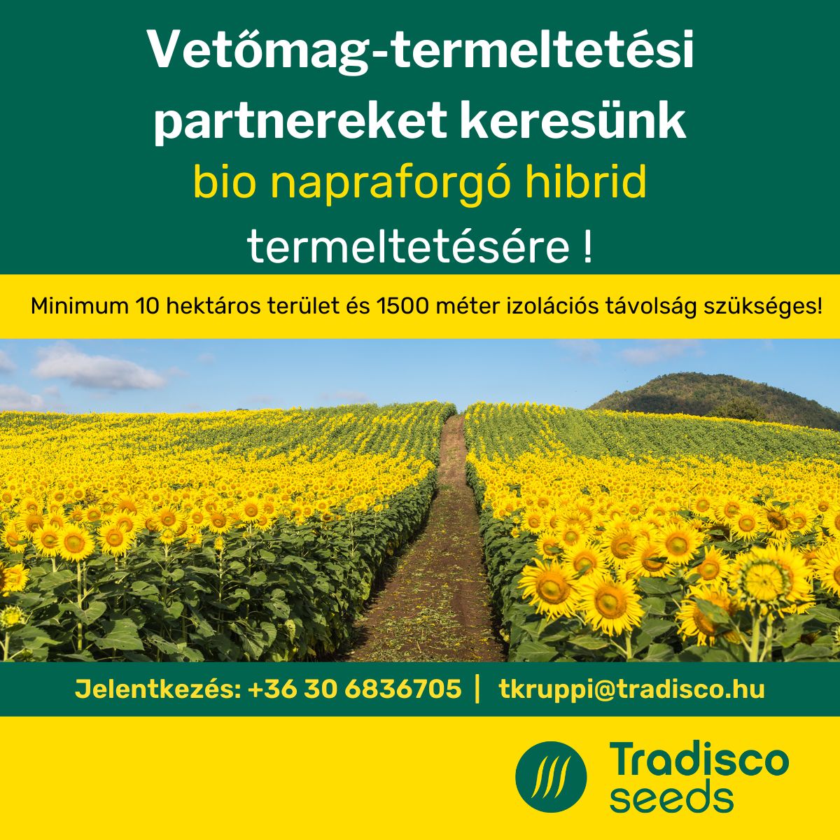 BIO hibrid napraforgó előállításra keresünk termelőt