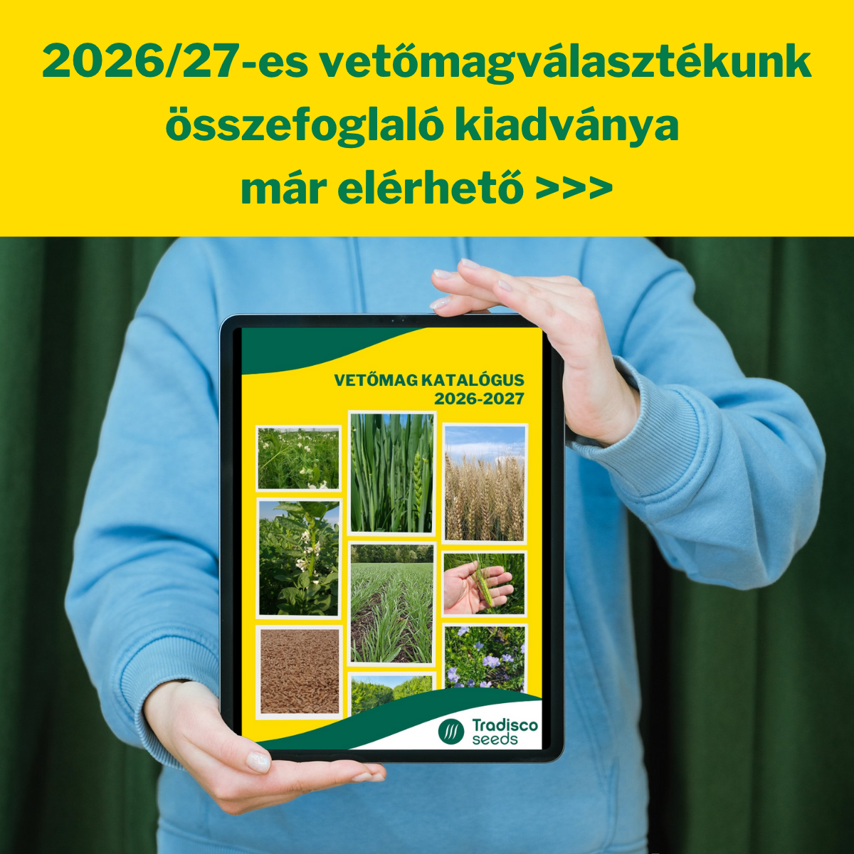 Tradisco Seeds 2026 2027 katalógus letöltése