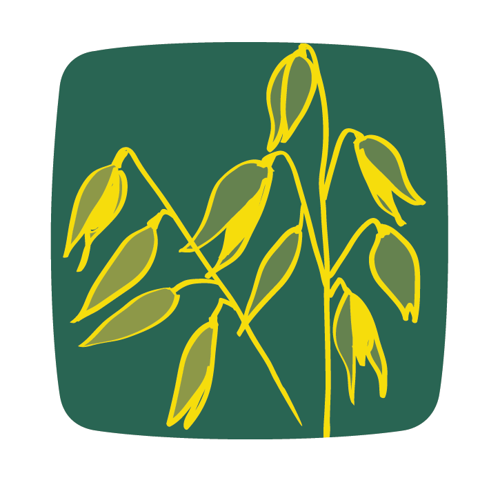 homokizab zab avoin oat icon