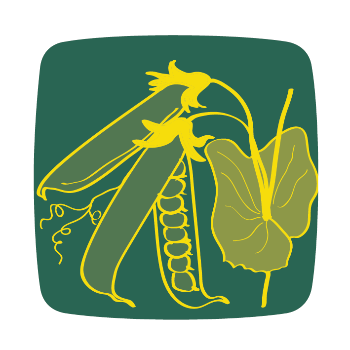 borsó pea pois icon