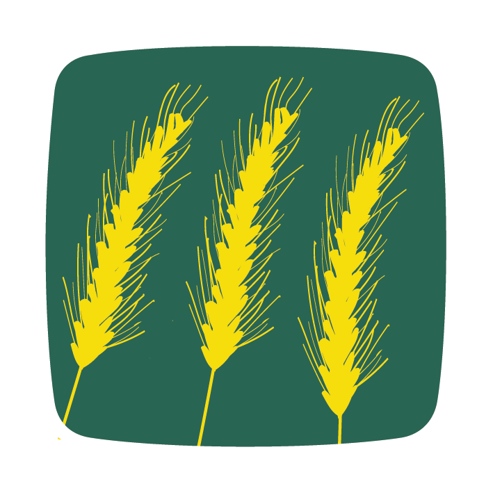 tradiscoseeds semenesdefrance icon