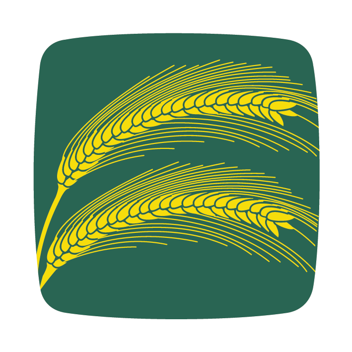 repce colza rapeseed icon