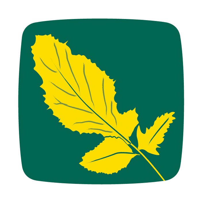 mustár moutarde mustard icon
