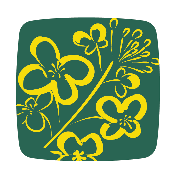 repce colza rapeseed icon