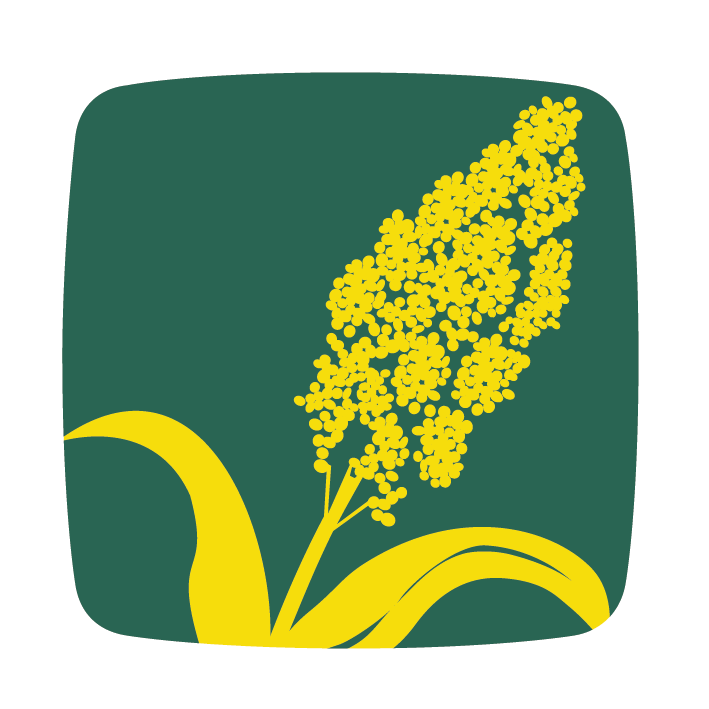 cirok hibridcirok icon