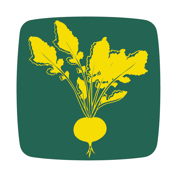 olajretek retek radis radish icon